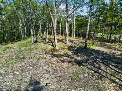 5 Acres Right Off Hwy MM | High Drive Frontage | Build-Ready | - photo 14