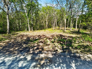 5 Acres Right Off Hwy MM | High Drive Frontage | Build-Ready | - photo 15