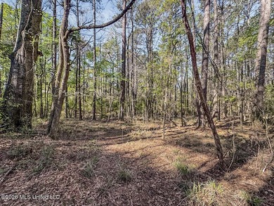 Located in a quiet country setting just minutes from town, 1560 - photo 22