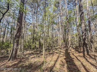Located in a quiet country setting just minutes from town, 1560 - photo 23