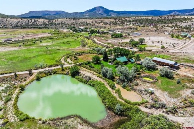 Lake Home For Sale in Durango, Colorado