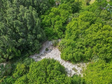 Exceptional investment opportunity for builders and investors! - photo 8