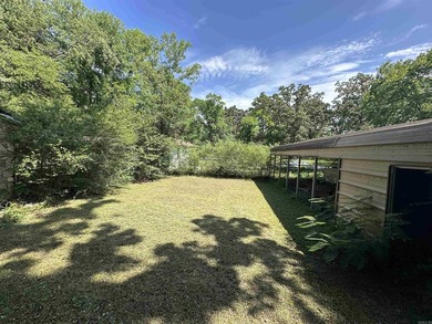 Conveniently located just minutes from Hot Springs and Entergy - photo 5