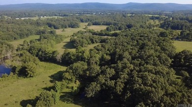 Stunning mountain views and open pastureland sets the scene for - photo 10