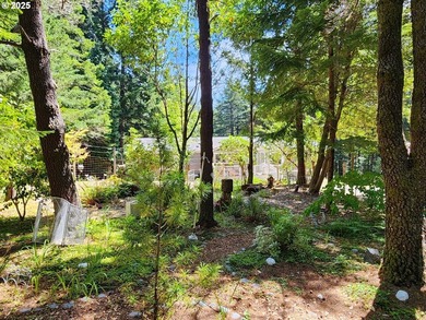 Nestled in the highly sought-after Cedar Terrace neighborhood - photo 30