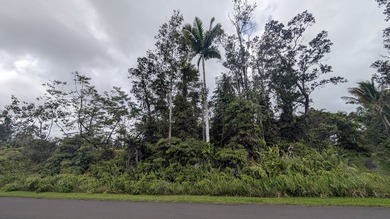 This 1-acre parcel in Leilani Estates offers a beautiful lush - photo 3