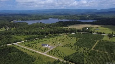 Tucked away on 3.01 private acres in the Ouachita Mountains - photo 4