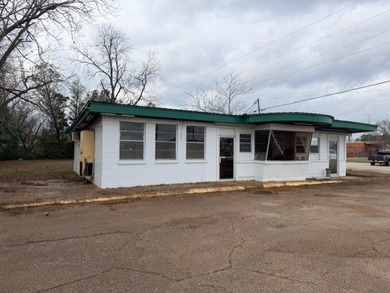 Prime Commercial Opportunity on Main Street - Brundidge, AL