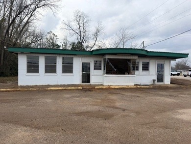Prime Commercial Opportunity on Main Street - Brundidge, AL