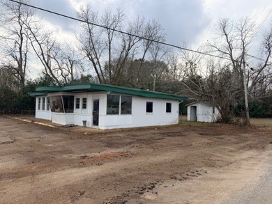 Prime Commercial Opportunity on Main Street - Brundidge, AL