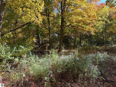 Crystal Lake - Benzie County Lot For Sale in Benzonia Michigan