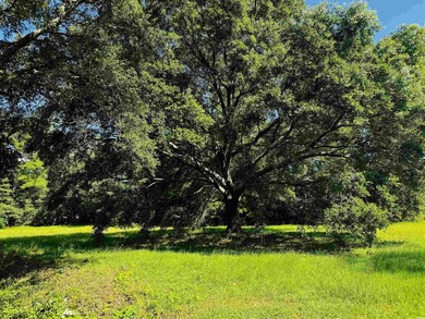 Waccamaw River Lot For Sale in Georgetown South Carolina