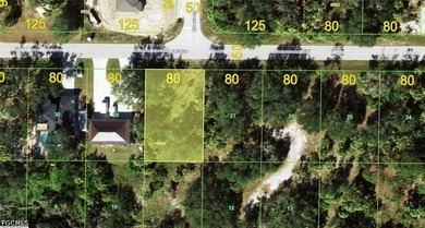 No HOA, deed restrictions or CDDs!!! Don't wait until demand - photo 1