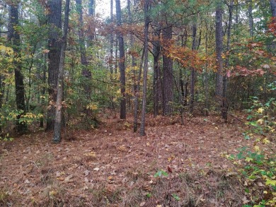 Lake Lot For Sale in Buchanan, Tennessee