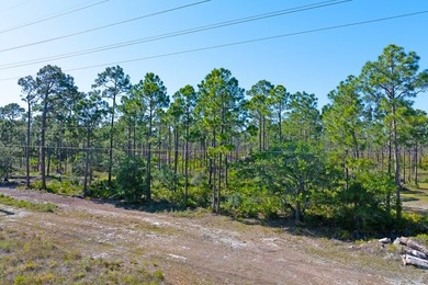 This .58-acre homesite offers 133 feet of road frontage and is - photo 8