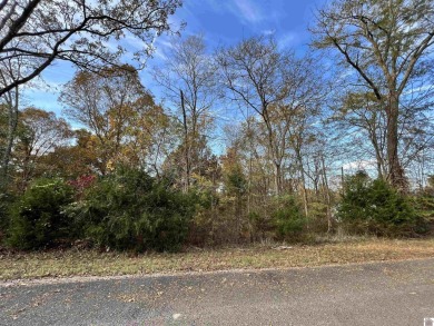  Lot For Sale in Murray Kentucky