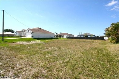 Great investment opportunity or the first step in building your - photo 4