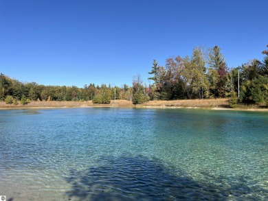 Little Platte Lake Lot For Sale in Honor Michigan