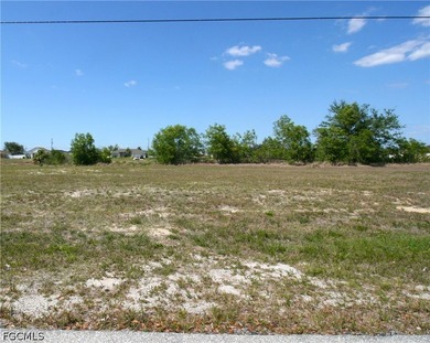 Build your Dream Home on this Prime Freshwater Lot in one of - photo 4