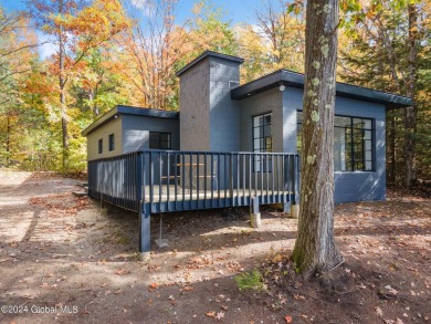 Bear Gulch Lake Home For Sale in Summit New York