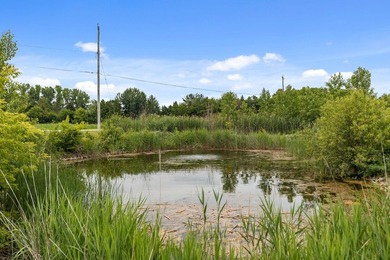 Country feel but minutes from everything you need - this is a - photo 2