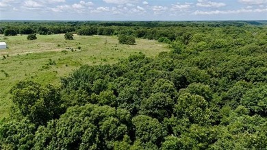 Discover the possibilities on this stunning 40 acre m/l located - photo 13