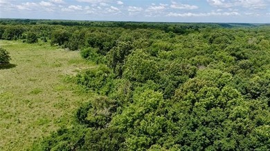Discover the possibilities on this stunning 40 acre m/l located - photo 15