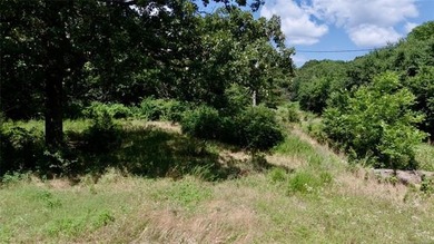 Discover the possibilities on this stunning 40 acre m/l located - photo 25