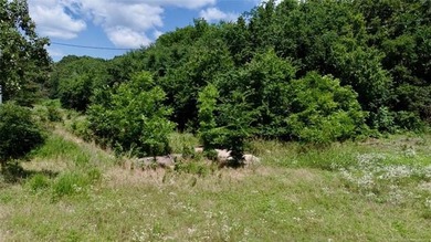 Discover the possibilities on this stunning 40 acre m/l located - photo 26