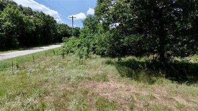 Discover the possibilities on this stunning 40 acre m/l located - photo 27