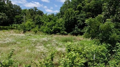 Discover the possibilities on this stunning 40 acre m/l located - photo 30