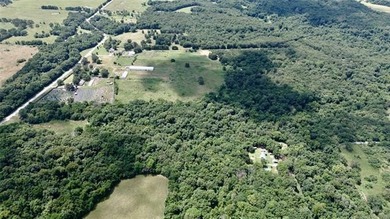 Discover the possibilities on this stunning 40 acre m/l located - photo 33