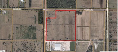 33 +/- acres with over 1,500 feet frontage Kings Hwy and St - photo 3