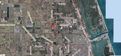 33 +/- acres with over 1,500 feet frontage Kings Hwy and St - photo 4