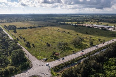 33 +/- acres with over 1,500 feet frontage Kings Hwy and St - photo 6