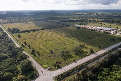 33 +/- acres with over 1,500 feet frontage Kings Hwy and St - photo 8
