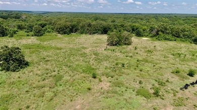 Discover the possibilities on this stunning 40 acre m/l located - photo 41