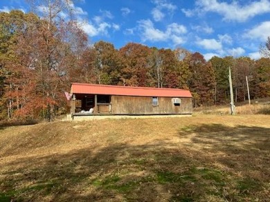 Tennessee River - Benton County Home For Sale in Camden Tennessee