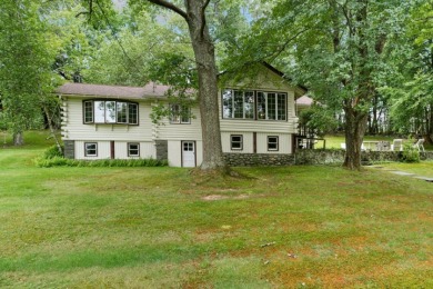 Lake Devenoge Home For Sale in Highland Lake New York