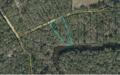 Lake Lot For Sale in Jasper, Florida