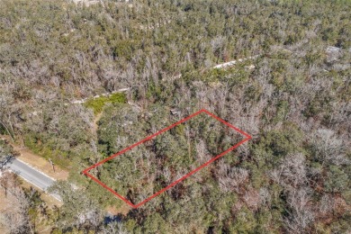 (private lake, pond, creek) Lot For Sale in Fort White Florida