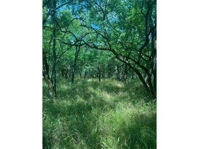 Red River Acreage For Sale in Haworth Oklahoma