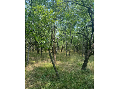 For Sale: 40 Acres of Prime Hunting Land in Red Slough Area - photo 2