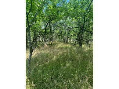 For Sale: 40 Acres of Prime Hunting Land in Red Slough Area - photo 3