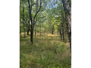 For Sale: 40 Acres of Prime Hunting Land in Red Slough Area - photo 5