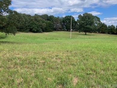 Lake Acreage For Sale in Pocahontas, Arkansas