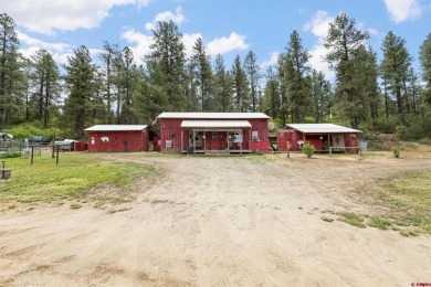 Lake Home For Sale in Pagosa Springs, Colorado