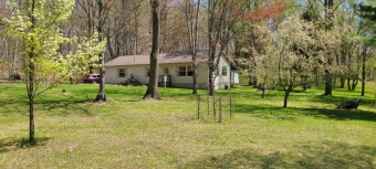 Nature Lover's Retreat! SOLD - Lake Home SOLD! in Custer, Michigan