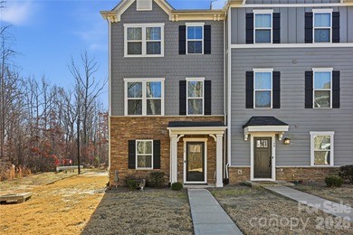 Mountain Island Lake Townhome/Townhouse For Sale in Charlotte North Carolina