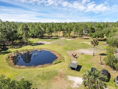 Lake Harney Acreage For Sale in Geneva Florida